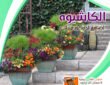 الكاشبوه - جى ار سي