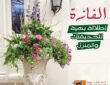 الفازة - جى ار سي
